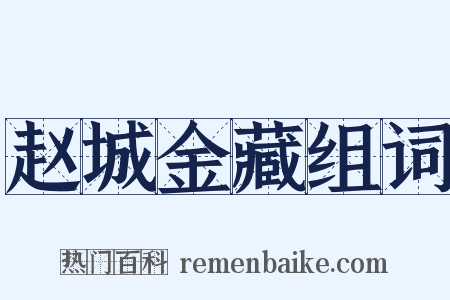 赵城金藏组词是什么意思的图片